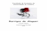 Barrigas de Aluguer - fe.uc.pt · informação: um trabalho académico de 2004 sobre o tema (da autoria de Inês de Castro), sites da Internet e páginas da mesma, maioritariamente
