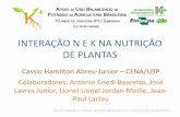 INTERAÇÃO N E K NA NUTRIÇÃO DE PLANTAS · crescimento e na produtividade das plantas ... transporte de nitrato e malato (Marschner, 2012) Conceitos •Assim, a predominância