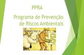 PPRA Programa de Prevenção de Riscos Ambientaisnowseg.com.br/wp-content/uploads/2017/01/9-Curso-de-NR-9-PPRA.pdfanálise global do PPRA para avaliação do seu desenvolvimento e