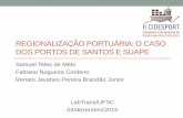 REGIONALIZAÇÃO PORTUÁRIA: O CASO DOS PORTOS DE … · Porto de Santos: •Pouco conectividade com portos da região Sul, sobretudo com Santa Catarina, que dispõe de 5 terminais