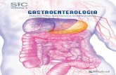 Volume 1 GASTROENTEROLOGIA - Sistema de Controle de ...crm.cbbw.com.br/AnexoPdfLojaVirtual/Gastro Vol. 1.pdf · Fisiopatologia ... - Vascularização e inervação do estômago; -