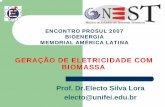 Prof. Dr.Electo Silva Lora electo@unifei.edu · turbinas a vapor, turbinas a gás e/ou motores de combustão interna. II - TECNOLOGIAS PARA A GERAÇÃO DISTRIBUÍDA ... Turbina a