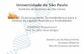 Universidade de São Paulo Instituto de Química de São Carlosgraduacao.iqsc.usp.br/files/Seminário-bioq.1.pdf · Universidade de São Paulo Instituto de Química de São Carlos.