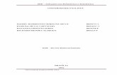 SRE – Soluções em Relatórios e Estatística · universidade paulista unip, 2012 universidade paulista daniel rodrigues neres da silva b023cg-1 igor da silva carvalho b03agc-1