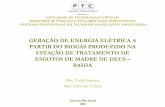 GERAÇÃO DE ENERGIA ELÉTRICA A PARTIR DO BIOGÁS ... · Msc. Eduardo Cohim. ... BDI – Benefícios e Despesas Indiretas (30% do total geral) 36.757,50. Total capital investido;