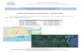 2014 / 05 - Relatório Fitoplancton Rio São João · As Euglenofíceas apresentaram maior densidade celular no Rio Capivari (8,95 X 103 cel. L-1) e menor no Rio Bacaxá (8,14 X 102