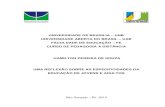 UNIVERSIDADE DE BRASILIA – UNB UNIVERSIDADE …bdm.unb.br/bitstream/10483/7882/1/2013_HamiltonPereiradeSouza.pdf · Monografia e encerrando com as Perspectivas Profissionais. ...