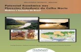 RELATÓRIO TÉCNICO - IMAZON Potencial Econômico nas ... · acidentes de trabalho e melhora a rentabilidade do setorflorestal. ... de castanha no Brasil foram o sudeste do Pará