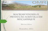 MACROECONOMIA E PRODUÇÃO AGRÍCOLA EM …omrmz.org/omrweb/wp-content/uploads/cnf-09-Macroeconomia-e... · Não existe evidência da influência da inflação, exportação de bens,