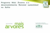 Programa Mais Árvores e o desenvolvimento florestal ... · PDF fileCarvão vegetal de eucalipto 13 Lenha de eucalipto 19 Madeira em tora de eucalipto para C&P 32 Madeira em tora de