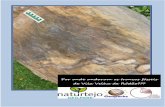 Por onde andaram os troncos fósseis de Vila Velha de Ródão???naturtejo.com/ficheiros/conteudos/pdf/geoturismo/1.4.pdf · As árvores petrificadas da Charneca (Vila Velha de Ródão)