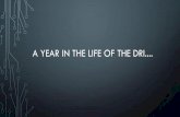 A YEAR IN THE LIFE OF THE DRI · SECADI. MISSÃO CAPES • ... 2015/16 251º a 300º 351º a 400 ... •Pos-doc •Professor ...