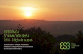 EXPERIÊNCIA SCHUMACHER BRASIL 2018 - Edição de outonoescolaschumacherbrasil.com.br/wp/wp-content/uploads/2017/12/apres... · professores e todos que fazem parte do dia a dia Toca.