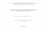 DIAGNÓSTICO E AVALIAÇÃO DE COLETA E DISPOSIÇÃO DE LODO DE FOSSA E DE …200.129.241.80/ppgeea/sistema/dissertacoes/54.pdf · 2014-09-10 · FORMAS DE TRATAMENTO E DISPOSIÇÃO