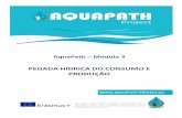 AquaPath Módulo 3aquapath-project.eu/calculator-po/documents/Modulo_3_PT.pdf · necessidades dos seus habitantes. Como os alimentos e ... Os países podem importar e exportar água