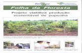 Informativo da Embrapa Florestas - Ano 9 - n016 - agosto ...ainfo.cnptia.embrapa.br/.../bitstream/item/106640/1/v.9n.160001.pdf · Federal do Paraná, Altiseg Equipamentos de Segurança