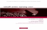 sm all rms su vey - Small Arms Survey - Home · Em outubro de 2006, os guerreiros da região de Karamoja ao norte de Uganda mataram a tiros 16 soldados ugan- denses que estavam dirigindo