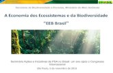 A Economia dos Ecossistemas e da Biodiversidade EEB Brasil · TEEB Brasil para políticas nacionais Há uma lacuna relacionada à construção de casos emblemáticos no Brasil no