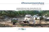 Importância da Apicultura no Pantanal Sul-Mato-Grossense · PDF filerepresentando grande potencial econômico para o ... continente americano) ... as exportações brasileiras de
