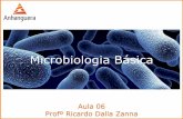 Microbiologia Básica · Características gerais o Eucariontes o Semelhanças estruturais com células dos seres humanos o Unicelulares o Heterotróficos o Aeróbios, anaeróbios