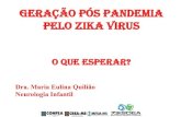Geração pós pandemia pelo Zika Virus - confea.org.br · Arbovírus (Arthropod-borne virus) são assim designados pelo fato de parte de seu ciclo de replicação ocorrer nos insetos,