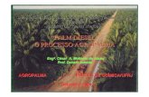 “PALM DIESEL” O PROCESSO AGROPALMA - LAMNET … · BIODIESEL NO BRASIL ... Teor de Na, K, P (ppm) ZERO 10. PalmDiesel: Biodiesel produzido a partir do ... • RECUPERAÇÃO DO