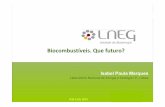 Unidade de Bioenergia Biocombustíveis. Que futuro? · Laboratório Nacional de Energia e Geologia I.P., Lisboa Unidade ... catalisador 1,05 ton 0,11 ton 1 ... Introdução Biodiesel