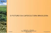 O FUTURO DA CAFEICULTURA BRASILEIRA - … · -População jovem + urbanização crescente ... Vietnã 50% da produção mundial de caf ... PRODUÇÃO BRASILEIRA, PRODUTIVIDADE E ÁREA