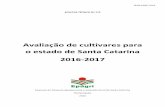 Avaliação de cultivares para o estado de Santa Catarina ...docweb.epagri.sc.gov.br/website_epagri/BT/BT-172_Avaliacao-de... · encontrados no caso de cozimento convencional em panelas