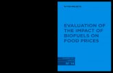 EVALUATION OF THE IMPACT OF BIOFUELS ON .2. fgv projects | evaluation of the impact of biofuels on