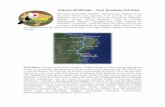 Roteiro detalhado Tour Nordeste (14 dias). - NE Brazil Birdingnebrazilbirding.com/wp-content/uploads/2016/07/Tour-Nordeste_14... · além da Encosta da Chapada, que mantem uma mata