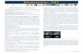 Newsletter TDT - Site Institucional · conquistar um terreno promissor é a Neurocirurgia, nomeadamente em contexto intra‐operatório, na remoção de tumores. Devido às características