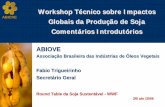 Workshop Técnico sobre Impactos Globais da Produção de ... · programa específico de soja e passa necessariamente pela criação de incentivos financeiros para a preservação