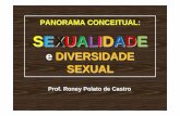 PANORAMA CONCEITUAL: SEXUALIDADE · um intenso, sutil e contínuo aprendizado. ... (corpo) e reguladores ... Guacira Lopes. Um corpo estranho: ensaios sobre sexualidade e teoria queer.