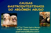 CAUSAS GASTROINTESTINAIS DO ABDÔMEN AGUDO · Dor abdominal- posição de prece ou arqueados Gatos: cotovelos abduzidos e pescoço estendido ... fluidoterapia alimentos líquidos