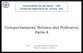 Universidade de São Paulo USP Escola de Engenharia de ...sistemas.eel.usp.br/.../5840772/312/Analisetermica_parte4_rev01.pdf · Comportamento Térmico dos Polímeros Parte 4 Prof.