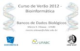 Curso de Verão 2012 - Bioinformática - IME-USP · –O que são bancos de dados? –Por que são importantes? ... –Necessário identificar os atributos obrigatórios. Bancos de