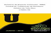 Relatório de Impacto Ambiental - RIMA Central de ...edisp/inea0111743.pdf · Federativa do Brasil (Artigo 225, inciso IV), a Lei de Crimes Ambientais. ... Comendador Levy Gasparian,