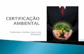Professora: Andréa Carla Lima Rodrigues · As normas da série ISO 14000, além de se preocuparem com as questões relativas ao desenvolvimento sustentável, foram desenvolvidas