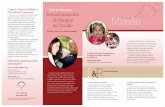 Guia de Pais para o Armazenamento Missão · PDF fileConselho Médico e Científi co da Fundação Guia de Pais para o Armazenamento do Sangue do Cordão (Parent’s Guide to Cord