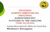SISTEMAS AGROFLORESTAIS NA AMAZÔNIA …satoyama-initiative.org/wp-content/uploads/2014/09/... · Início da década de 30 –produção de verduras e juta. Beginning of the decade