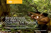 BENEFÍCIOS CLIMÁTICOS, CUSTOS DE POSSE · de terras indígenas na Amazônia . Esse relatório apresenta as conclusões da análise custo-benefício para garantir a proteção das