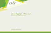 Surge Test - LHF Instrumentação · Esta opção serve para emitir o relatório individual de teste por motor ou estator, para envio ao cliente ou arquivo próprio. Este relatório