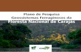 Plano de Pesquisa Geossistemas Ferruginosos da Floresta ... · de conservação federal, criada em 1998, em partes dos municípios de Parauapebas, Canaã dos Carajás e Água Azul