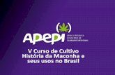 V Curso de Cultivo História da Maconha e seus usos no Brasilapepi.org/wp-content/uploads/2018/09/Andrew_Reed_historia_Brasil.pdf · utilizados na época para identificar a planta: