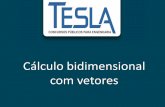 Cálculo bidimensional com vetores - teslaconcursos.com.br · Cálculo bidimensional com vetores. Definição •Grandezas escalares: representadas apenas por números. Ex: massa,