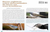 Novos registros sobre deformidades de bicos em aves ... · de bicos em aves brasileiras Thiago de Oliveira Souza1, Luciano de Faria Silva2, ... que não apresentava dificuldades na