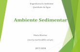 Apresentação do PowerPoint - gesaq.org · Porquê estudar os sedimentos MMartins_QA_2017/2018 3 Reservatório de contaminantes Risco para fauna e flora bentónica Remobilização