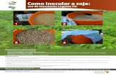 1 2 - Cabi ASHCafricasoilhealth.cabi.org/wpcms/wp-content/uploads/2015/10/520-How... · Pese 15 kg de semente de soja e coloque numa bacia Adicione à semente 75 g or 7 (colheres