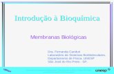Introdução à Bioquímicajaguar.fcav.unesp.br/download/deptos/biologia/durvalina/TEXTO-165.pdf · – Proteínas integrais de membrana ... • Estrutura e montagem de membranas
